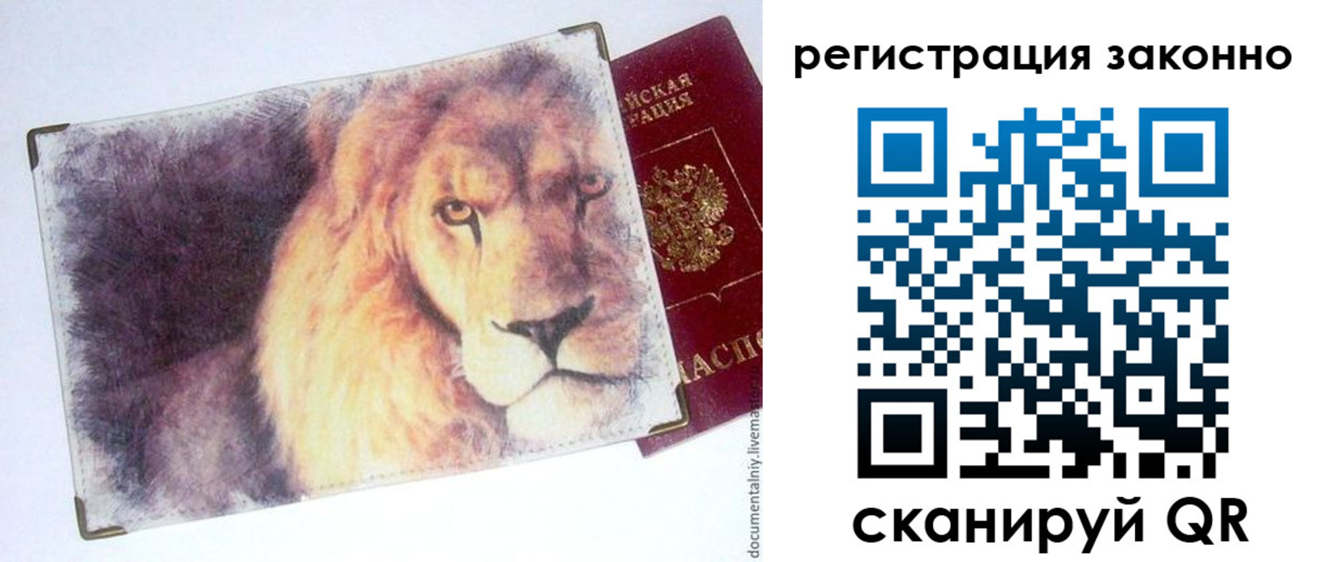 прописка гарантия в Приволжске
